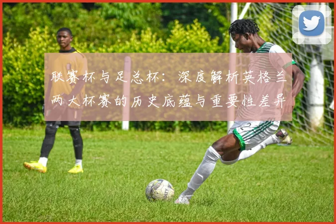 联赛杯与足总杯：深度解析英格兰两大杯赛的历史底蕴与重要性差异